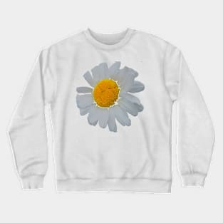 Daisy: Natural Mandala Crewneck Sweatshirt